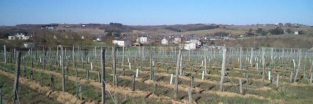 St Aubin de Luigné , le 26 février 2018